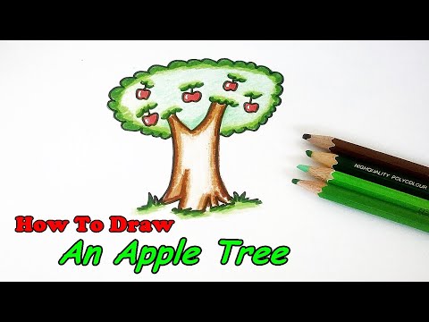 How to draw an apple tree. วาดรูปต้นแอปเปิ้ล วาดภาพต้นไม้