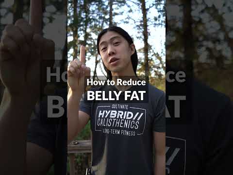 How to Lose Belly Fat How to Lose Belly Fat