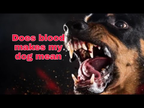 Does the taste of blood changes your dog?