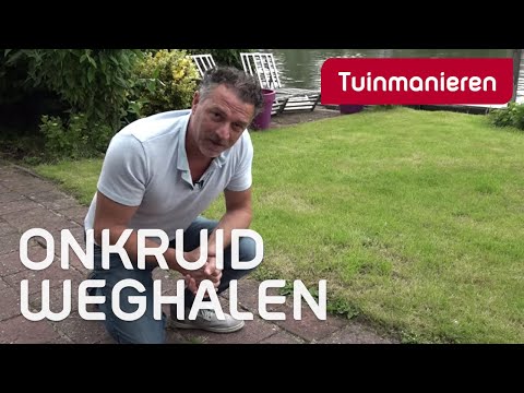 Hoe kom je van onkruid tussen de bestrating af? | Tuinmanieren Hoe kom je van onkruid tussen de bestrating af? | Tuinmanieren
